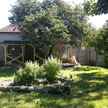 Villa Svalyavа Свалява Екстер'єр фото