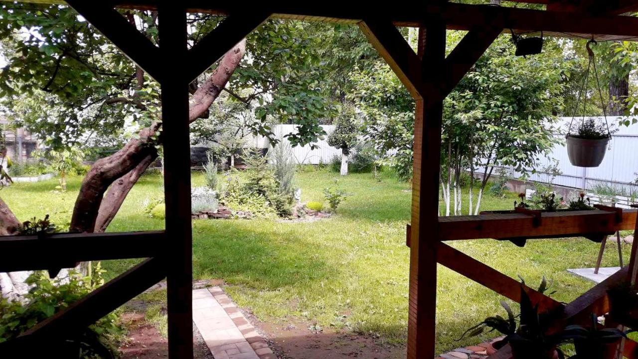 Villa Svalyavа Свалява Екстер'єр фото
